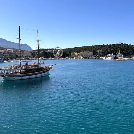 Beatiful Rosemary - West In * Makarska
